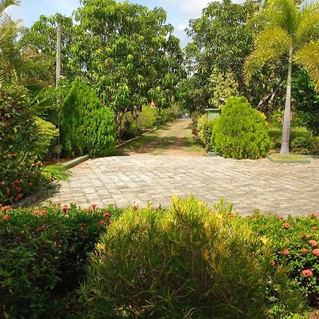 Sunshine Holiday Resort -Sella Kataragama Exterior foto