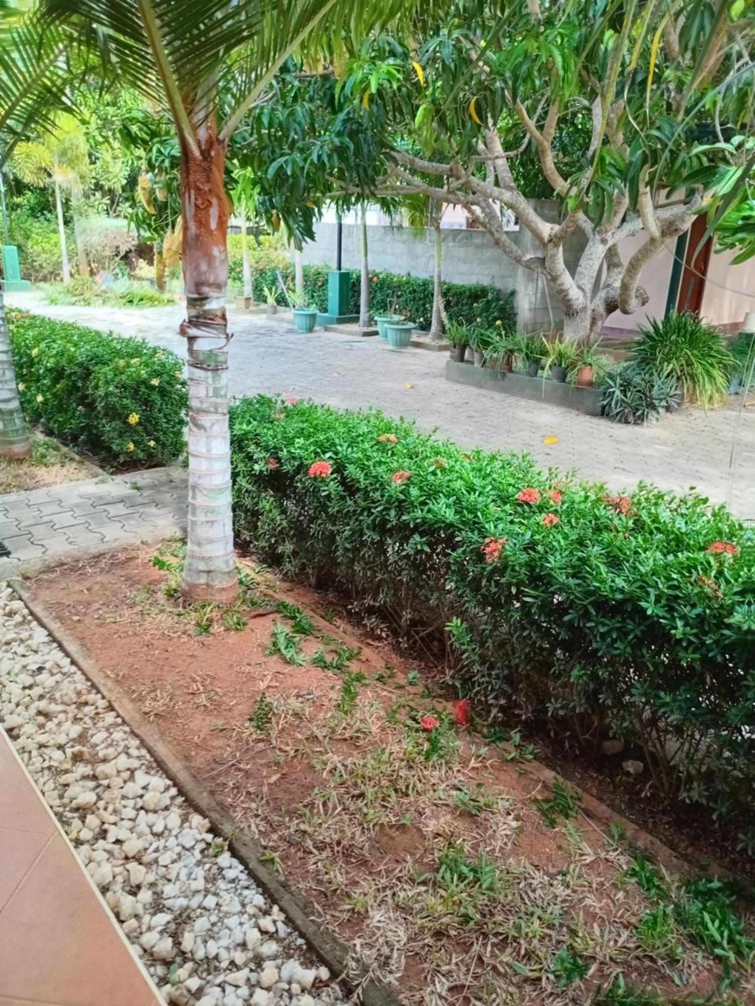 Sunshine Holiday Resort -Sella Kataragama Exterior foto